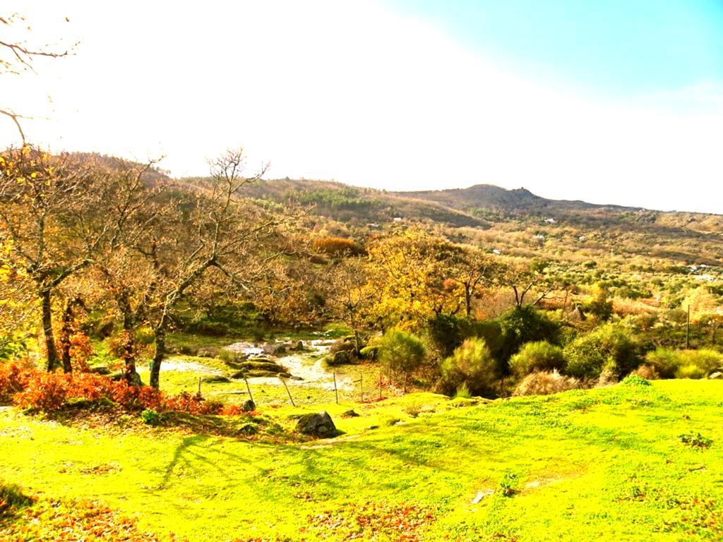 Quinta Do Marvao Guest House Room photo